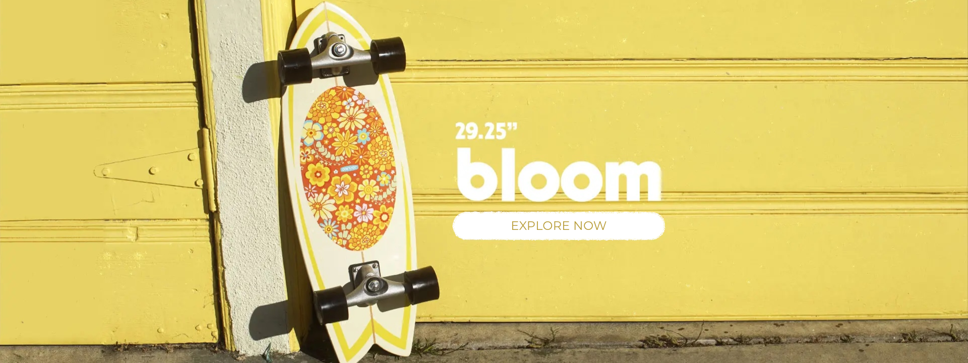 bloom en